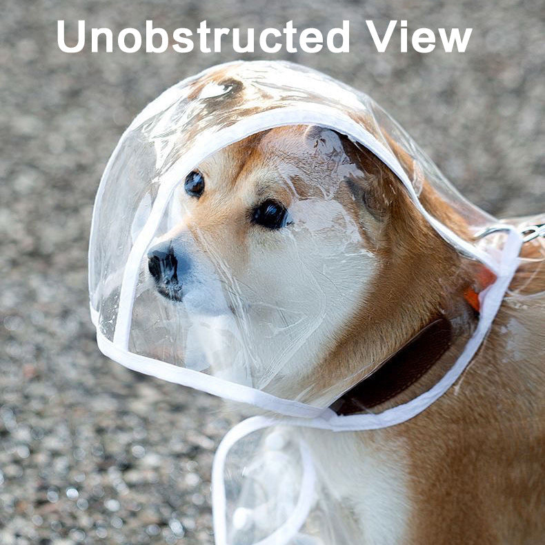 White Edge Transparent Pet Raincoat with Full Hood