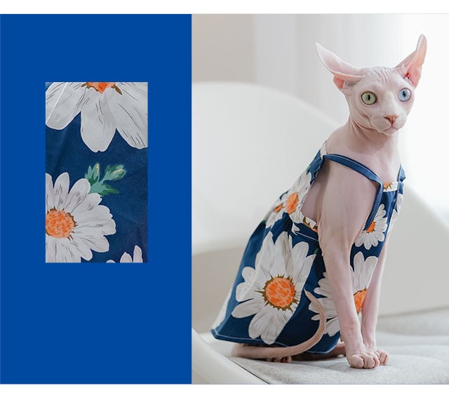 Cat wearing a blue floral dress with a close-up of the fabric pattern on a blue background.