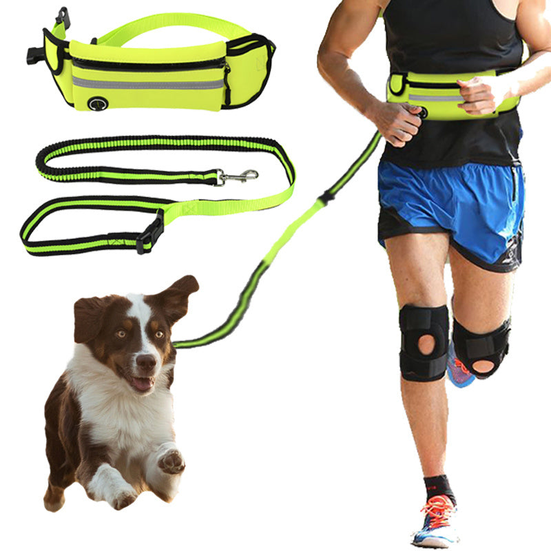 Waterproof Reflective Sports Running Pet Waist Bag with Traction Rope Leash