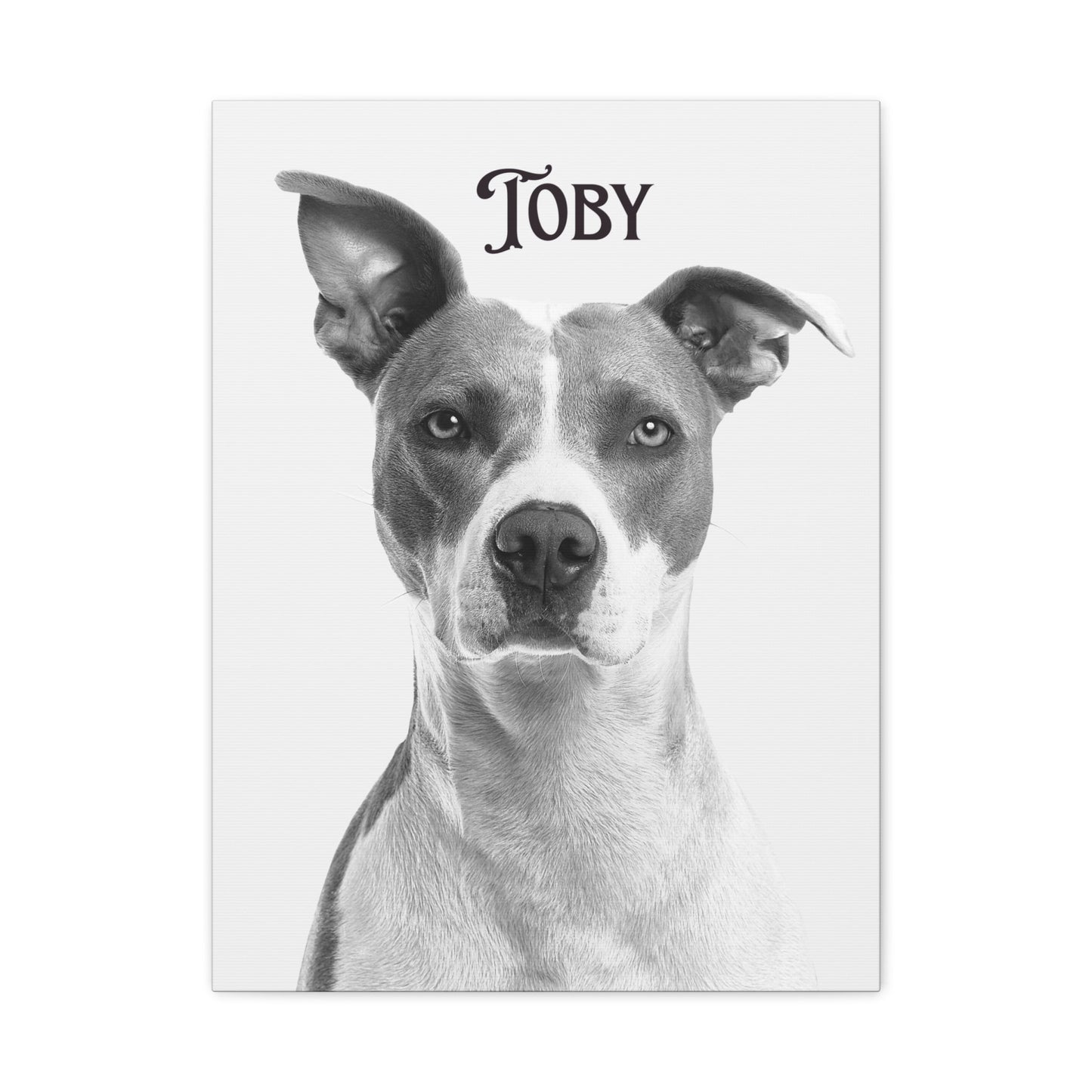 Custom Photo Canvas Print - Stretched Wall Art for Pet Lovers | Purrfect Pet Haven