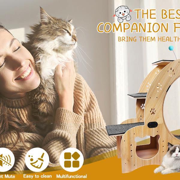 Woman holding a cat with a wooden cat tree in the background, featuring text about companionship and health benefits.