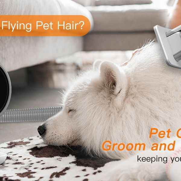 Powerful Pet Grooming Vacuum for Multi-Pet Homes - Large Capacity - Purrfect Pet Haven