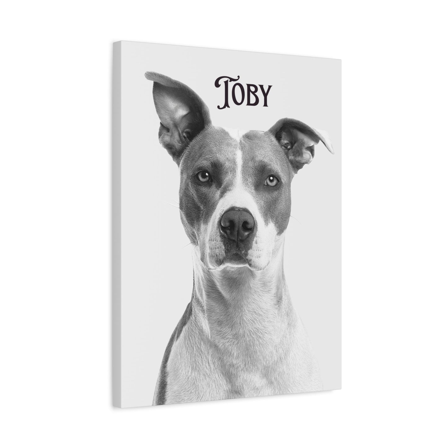Custom Photo Canvas Print - Stretched Wall Art for Pet Lovers | Purrfect Pet Haven