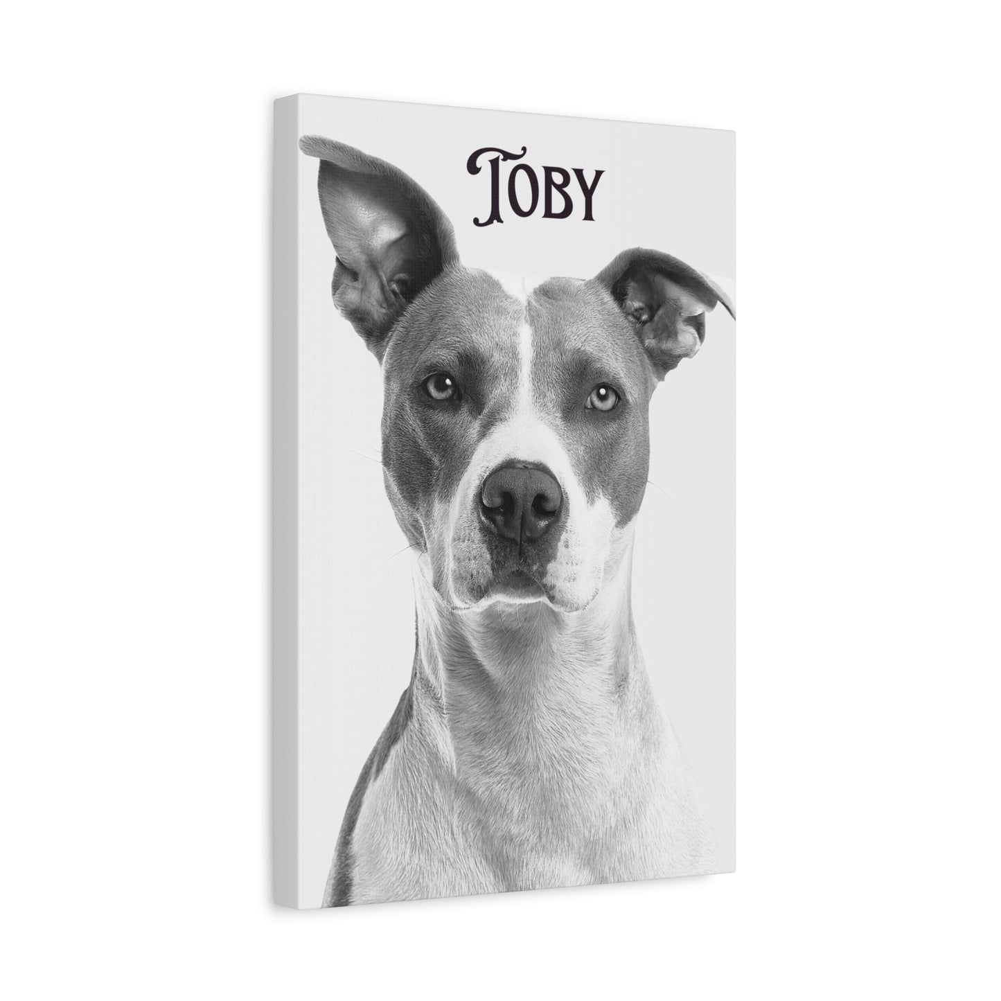 Custom Photo Canvas Print - Stretched Wall Art for Pet Lovers | Purrfect Pet Haven