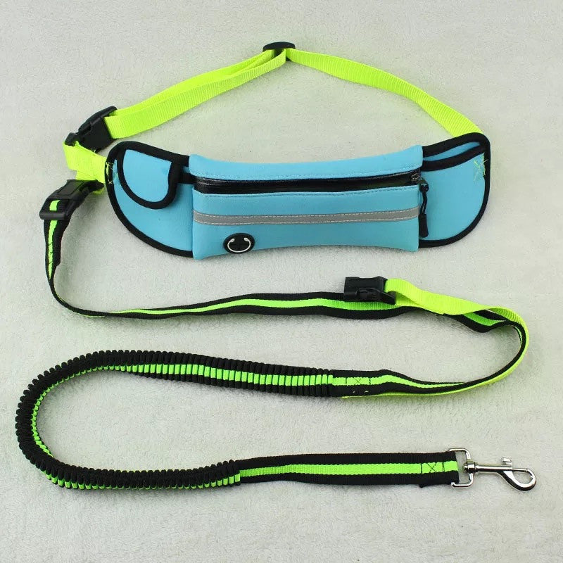 Waterproof Reflective Sports Running Pet Waist Bag with Traction Rope Leash
