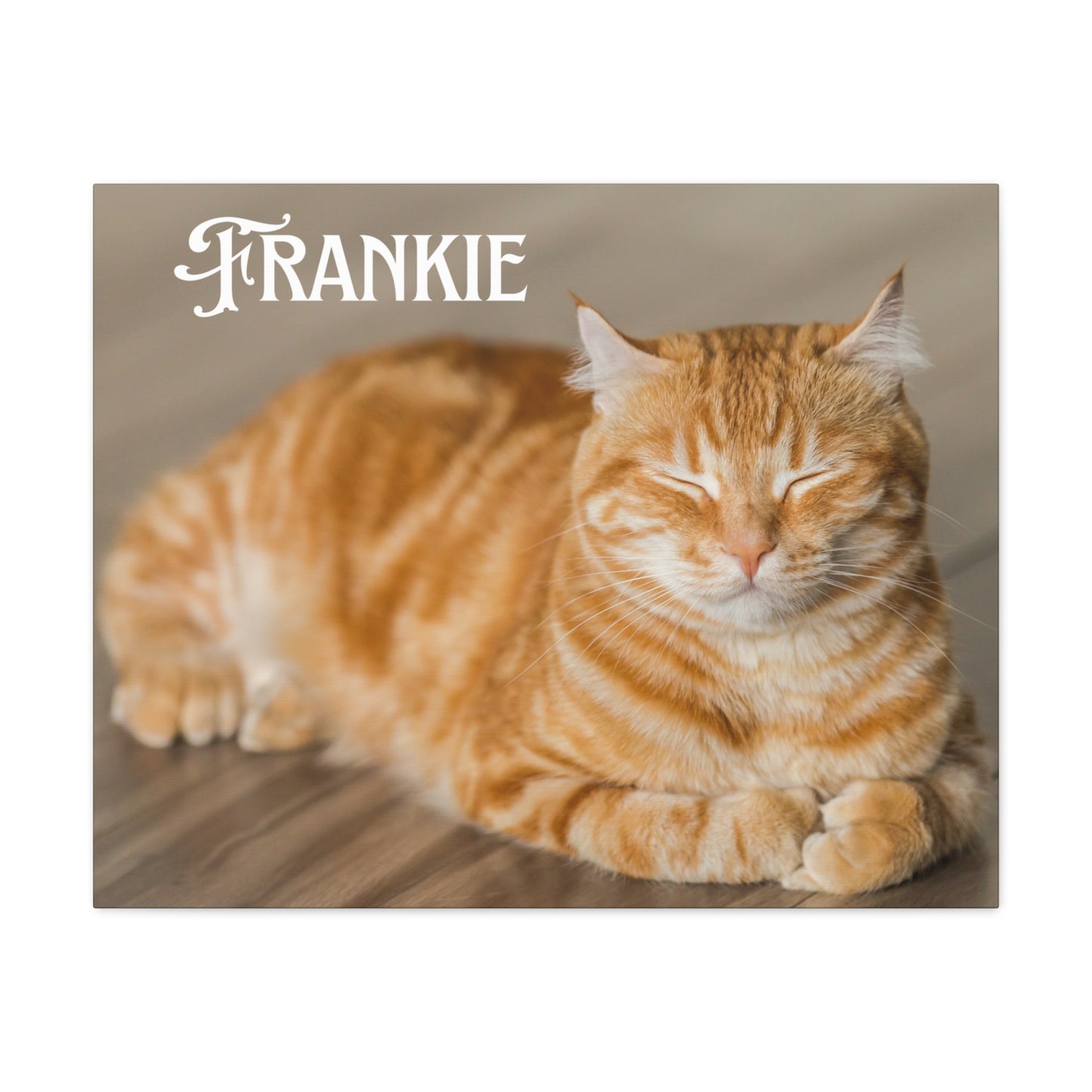 Personalized Landscape Photo Canvas Wall Art - Stretch Framed Print for Pet Lovers