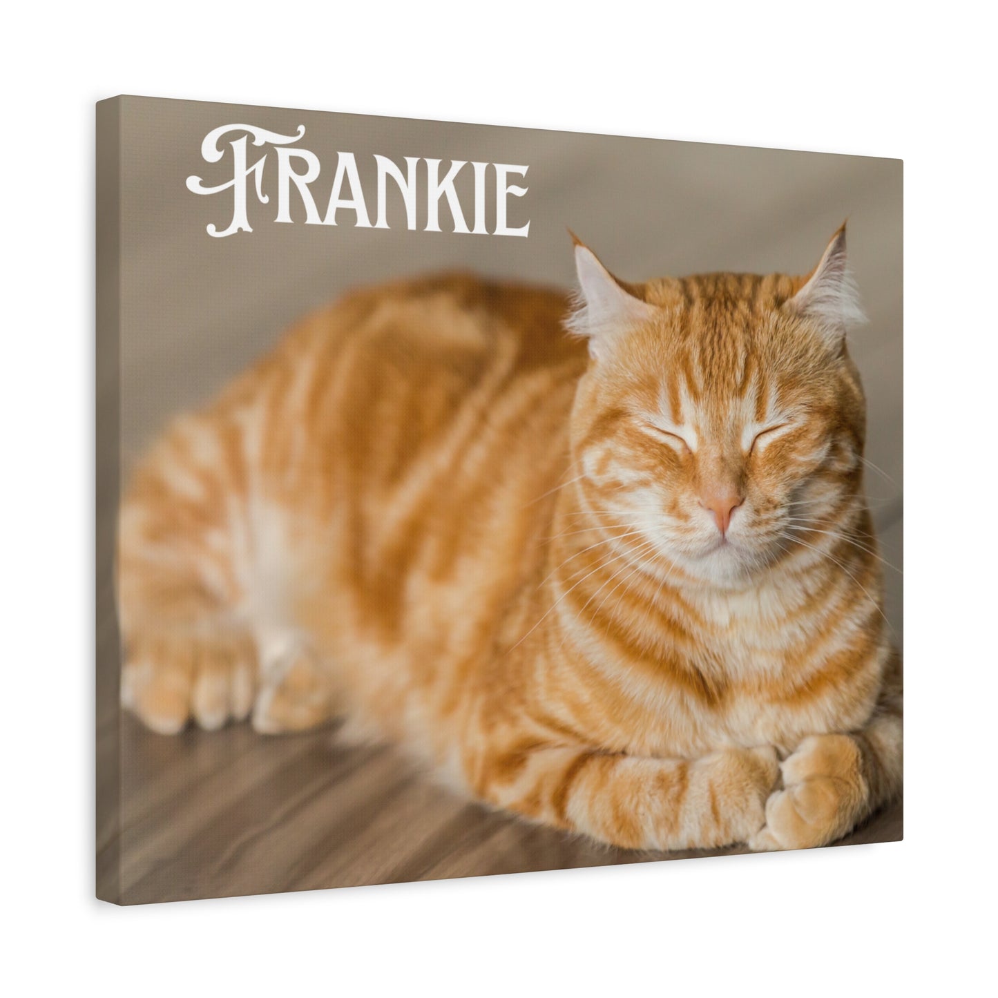 Personalized Landscape Photo Canvas Wall Art - Stretch Framed Print for Pet Lovers