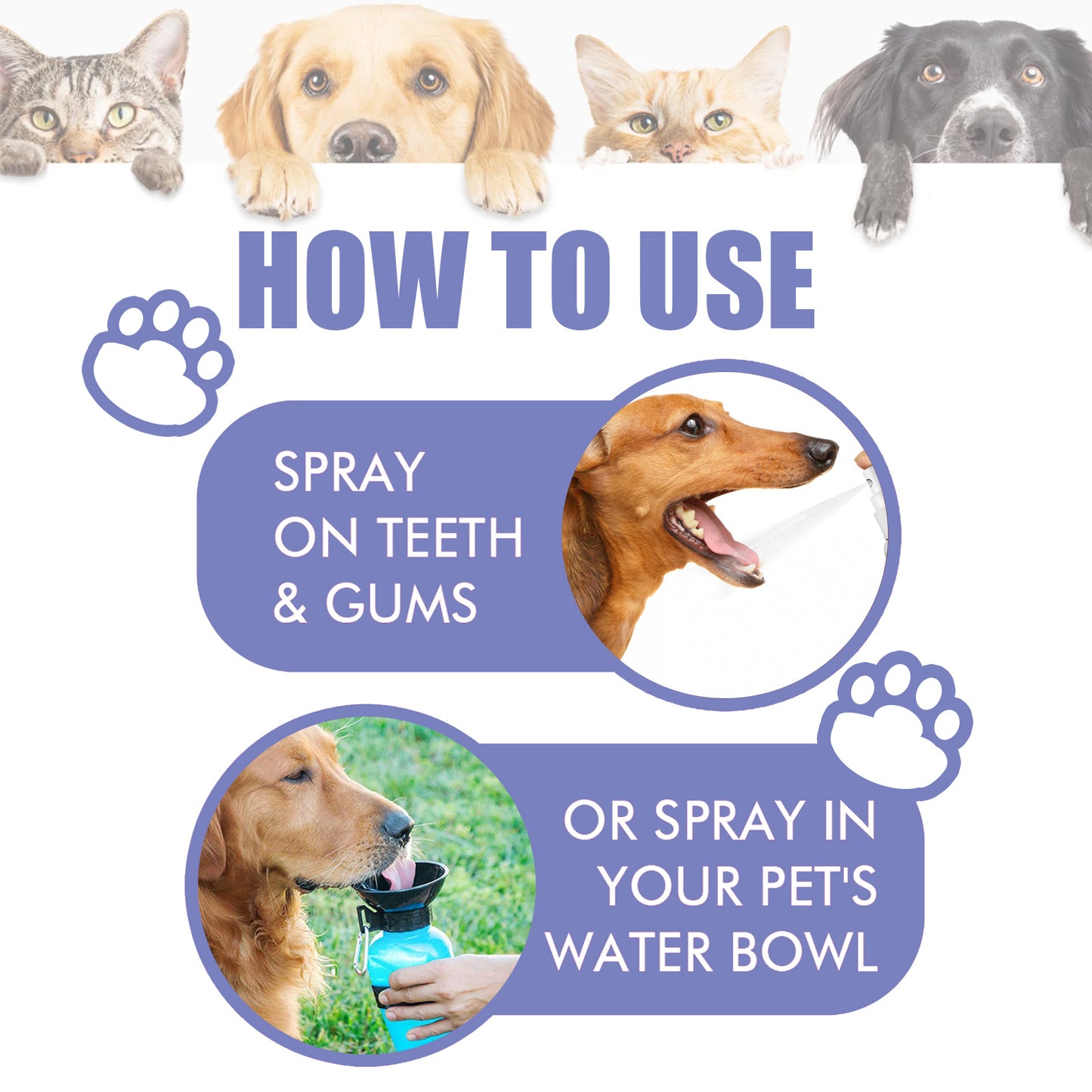 Teeth Stain Removal, Breath, Pet Oral Care Spray