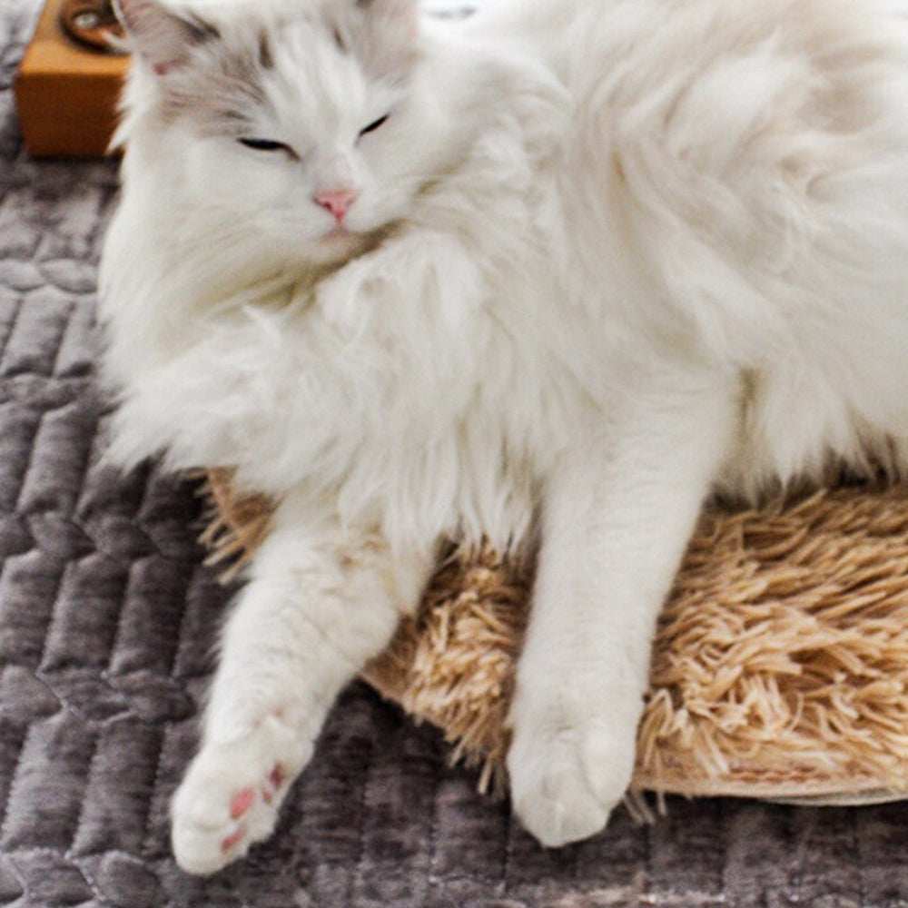 USB Electrical Heated Pet Bed Energy Saving Pet Carpet | Purrfect Pet Haven