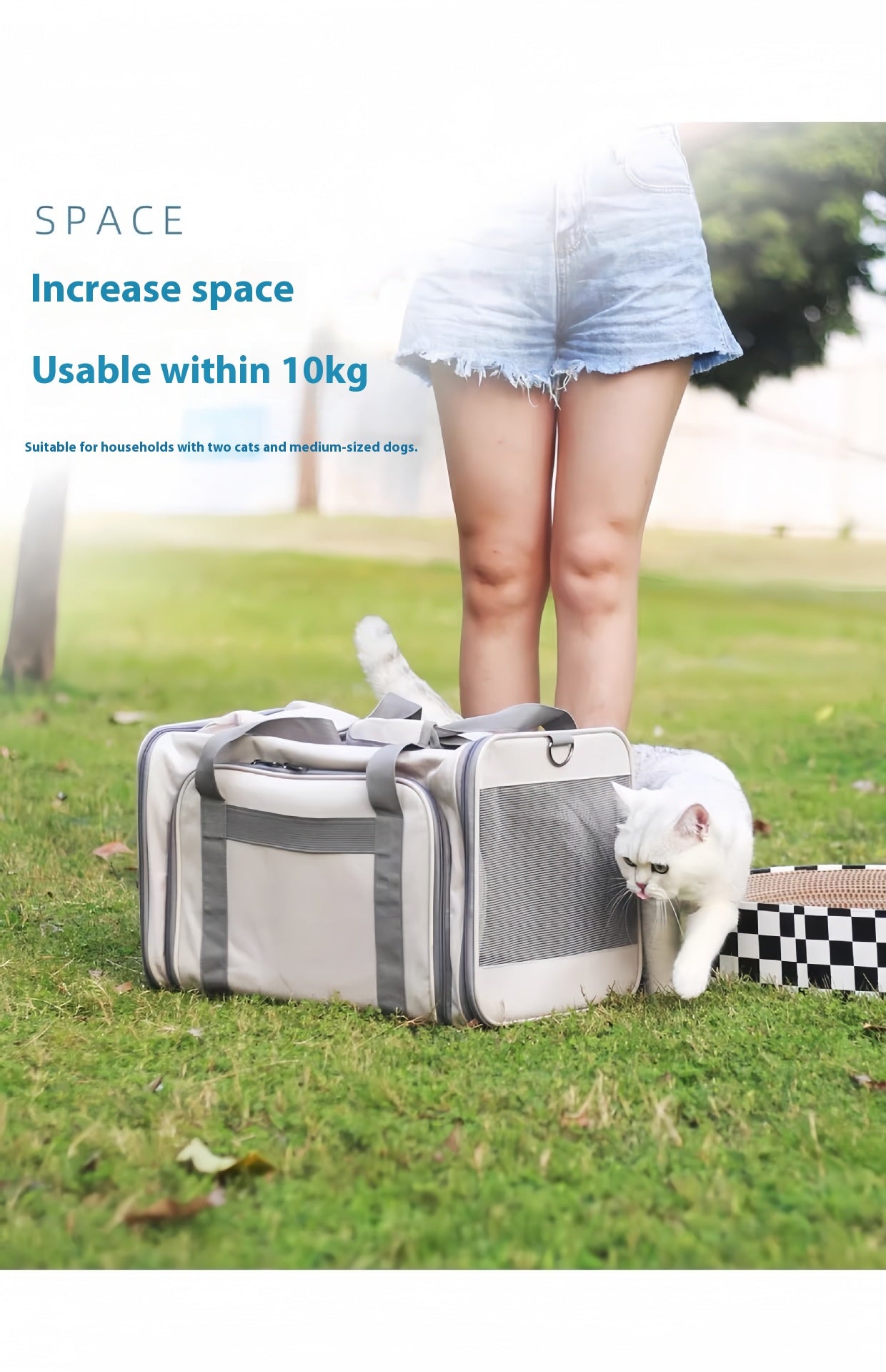 Portable Pet Carrier for Cats and Small Dogs - Breathable Travel Backpack