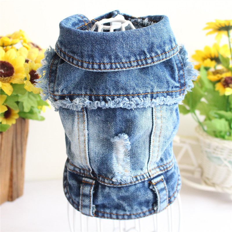Ripped Fringe Denim Jacket - Full Size Pet Clothes