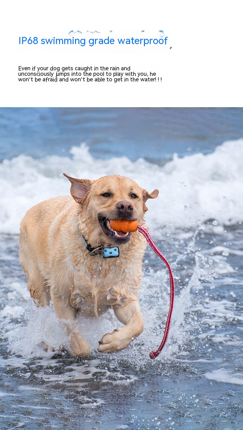 Dog playing in water with an orange toy, surrounded by waves.