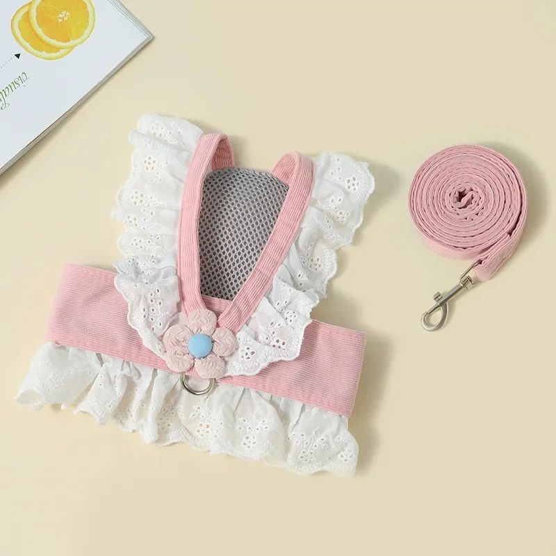 Dog harness and leash set with floral design on a beige background