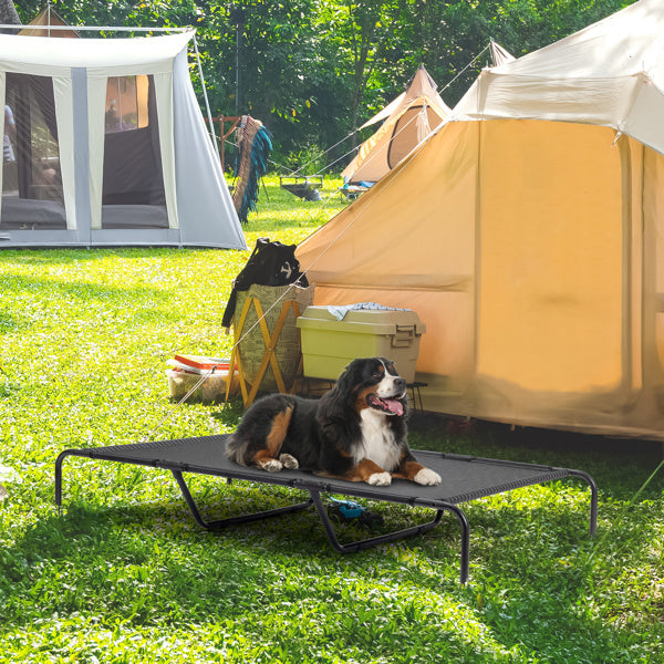 Dog on a portable pet bed in a camping setting with tents and a cooler in the background.