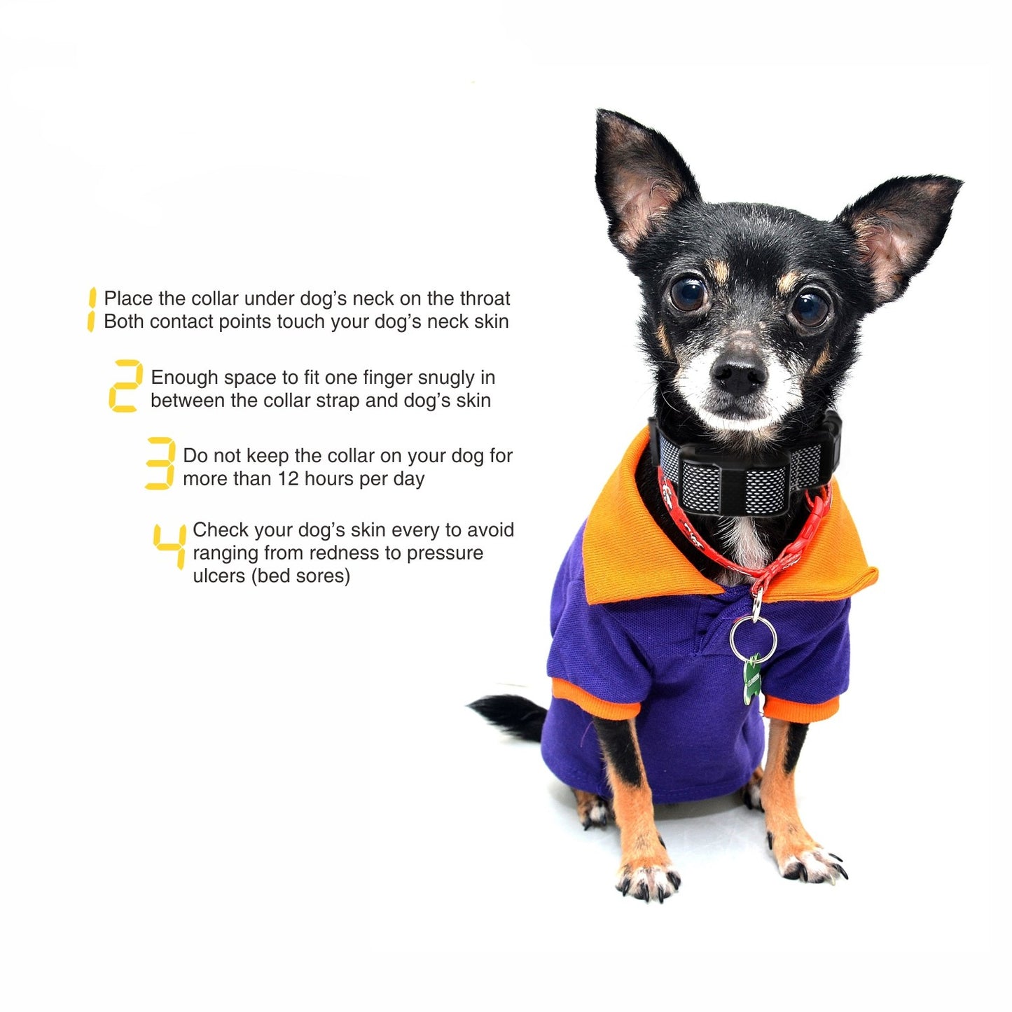 Automatic Anti-Barking Stop Training Collar - Small to Large Dogs
