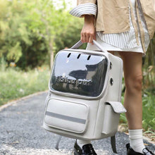 Person holding a transparent pet carrier with 'My Pet Carrier' branding outdoors.
