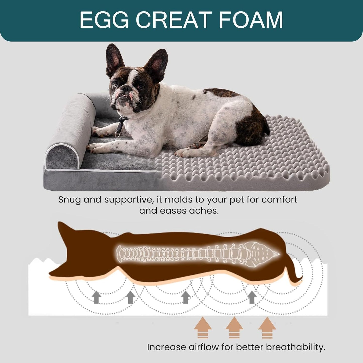 Orthopedic Dog Bed - XL Large Dogs