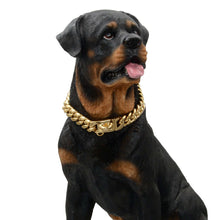 Stainless Steel Cuban Chain Lock Buckle Gold Silver Black Pet Dog Collar