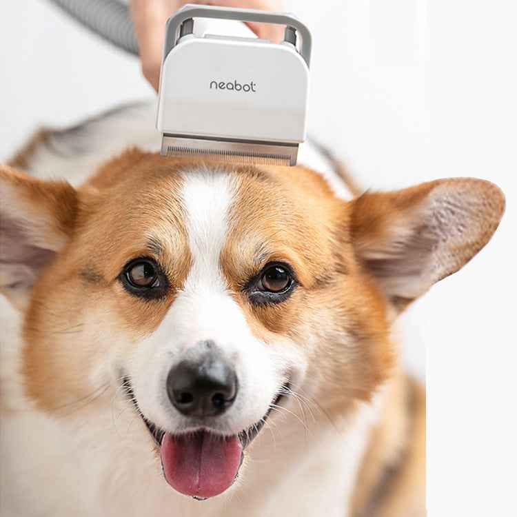 Quiet Pet Grooming Vacuum for Nervous Dogs - 9000Pa Power - Purrfect Pet Haven