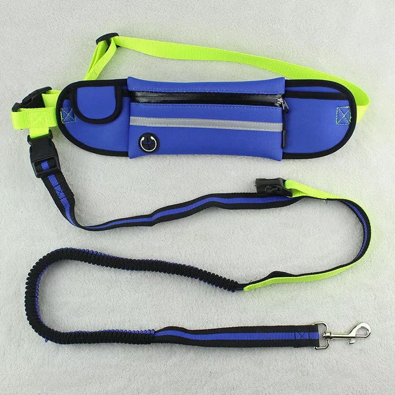 Blue and green dog leash and harness set on a light gray background