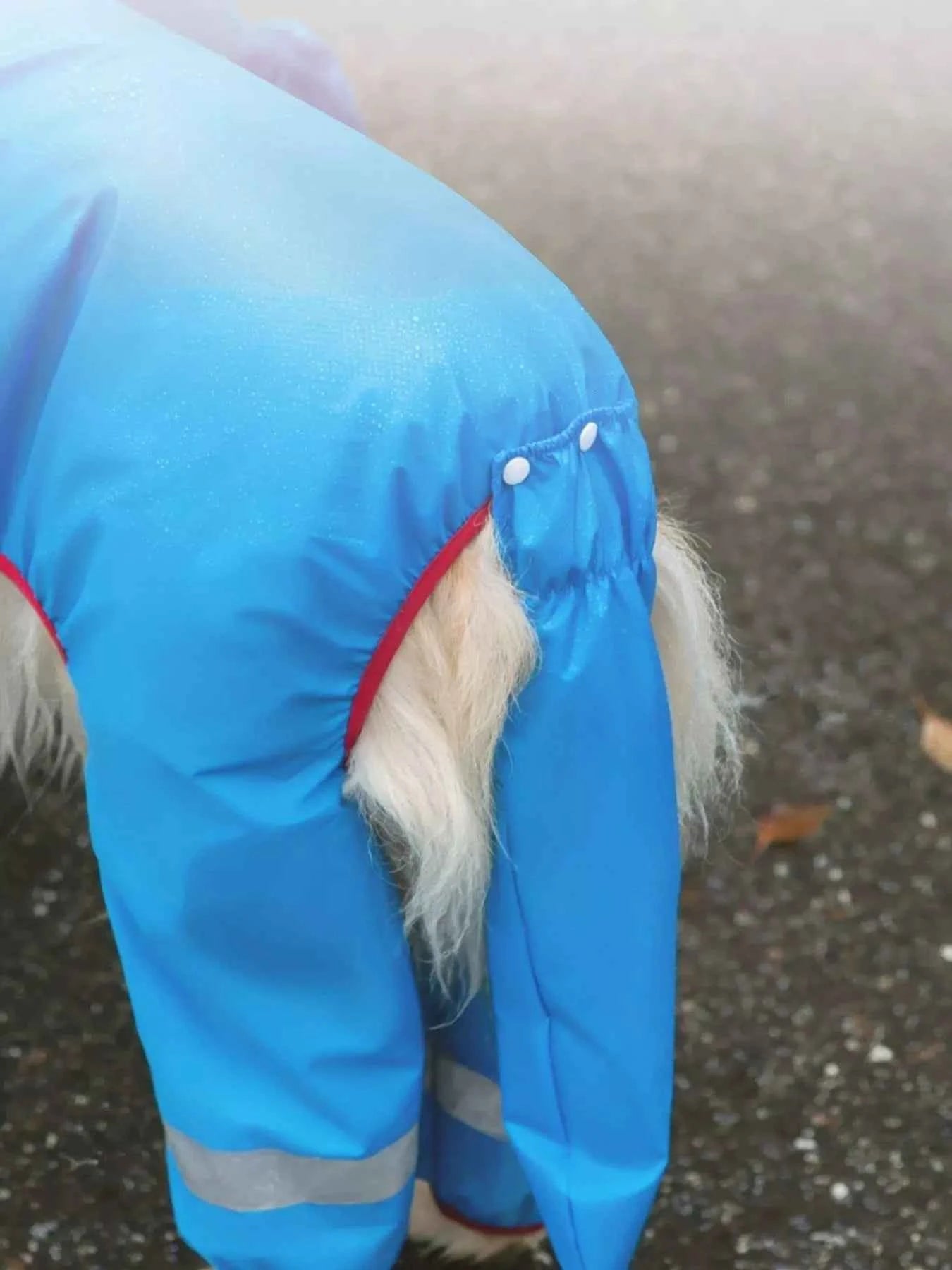 Dinosaur Style Waterproof Dog Raincoat with Hood