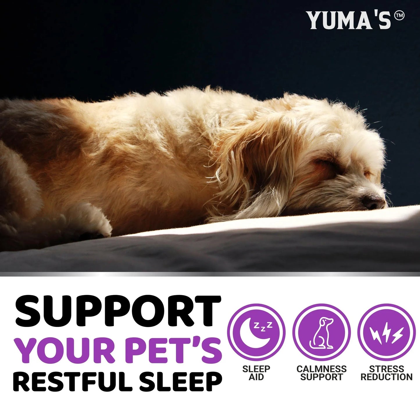 Do Not Sell On Amazon Melatonin Calming Chews For Dogs 170 Chews Dog Stress And Anxiety Relief