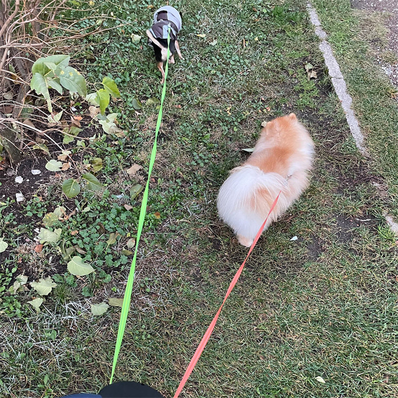 Reflective Swivel Dual Pet Retractable Dog Leash For Small Dogs with Light and Bag Holder