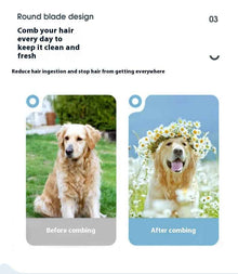 Adjustable Pet Grooming Vacuum with Custom Speed Control - Purrfect Pet Haven
