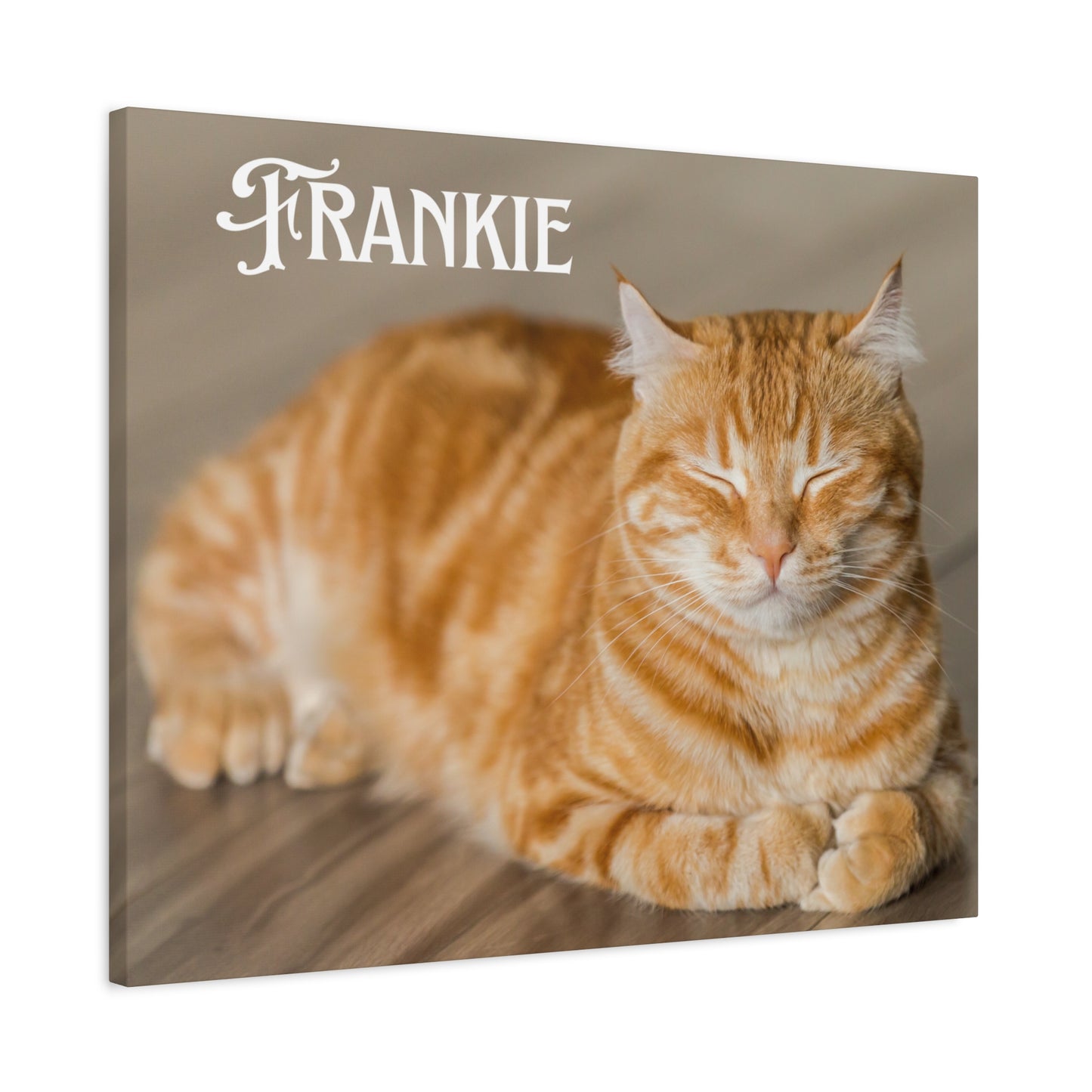 Personalized Landscape Photo Canvas Wall Art - Stretch Framed Print for Pet Lovers