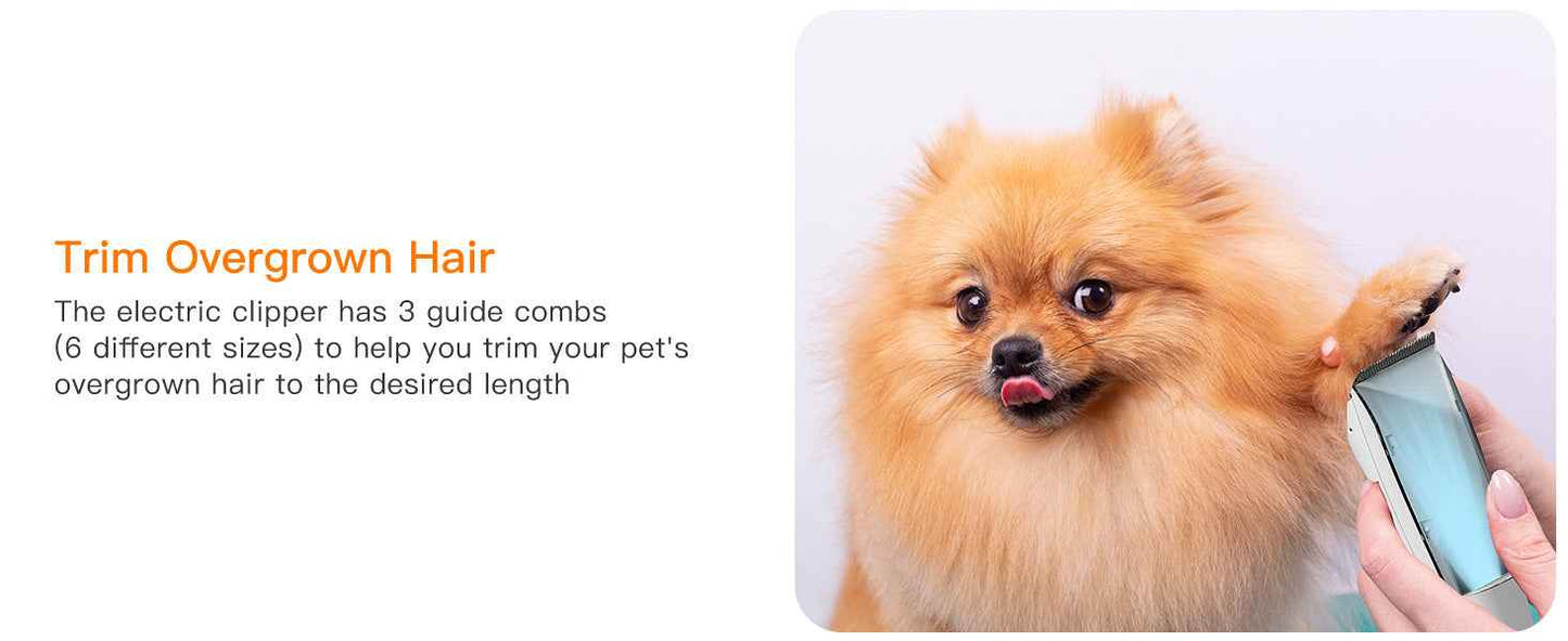 Powerful Pet Grooming Vacuum for Multi-Pet Homes - Large Capacity - Purrfect Pet Haven