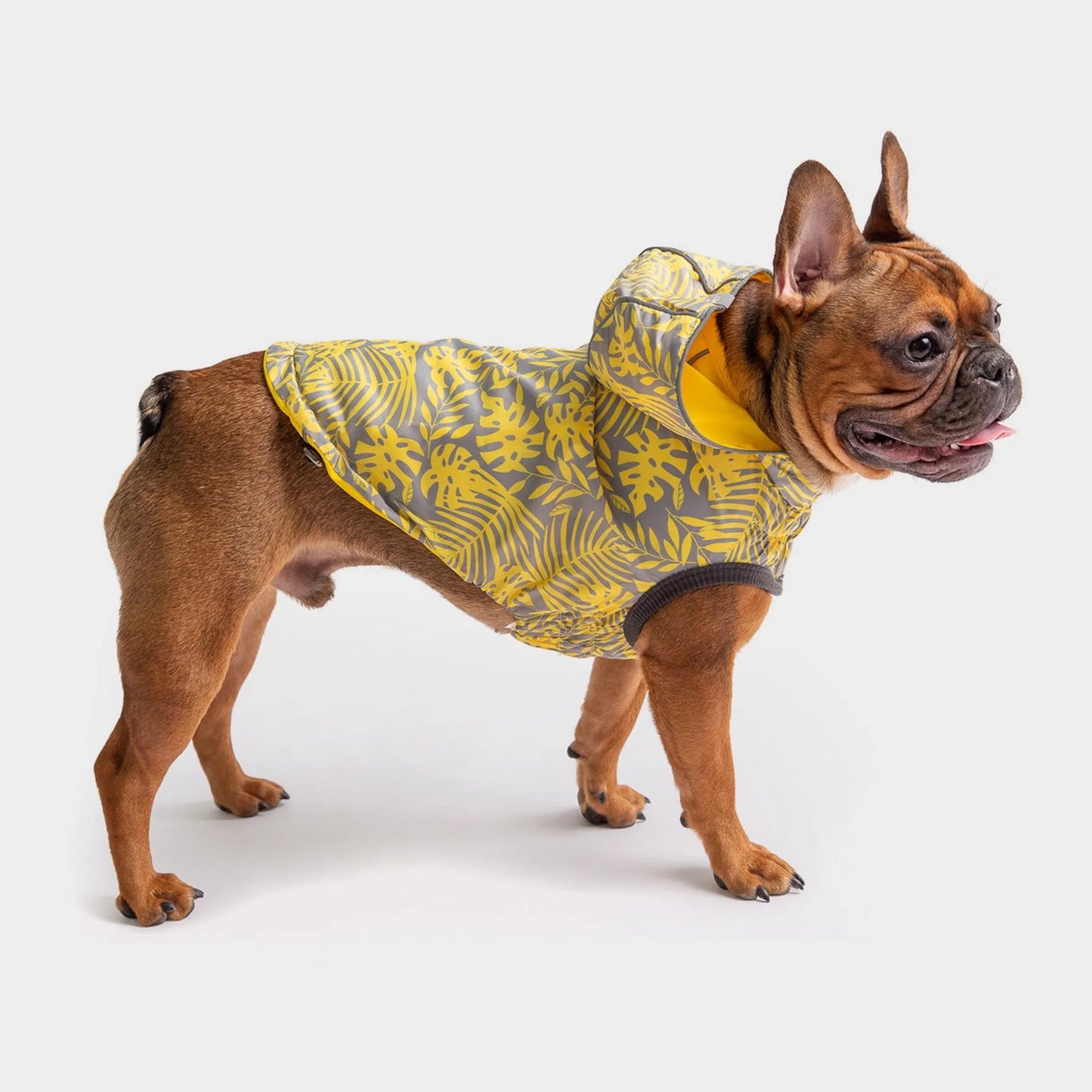 GF Pet Reversible ElastoFit Dog or Puppy Raincoat