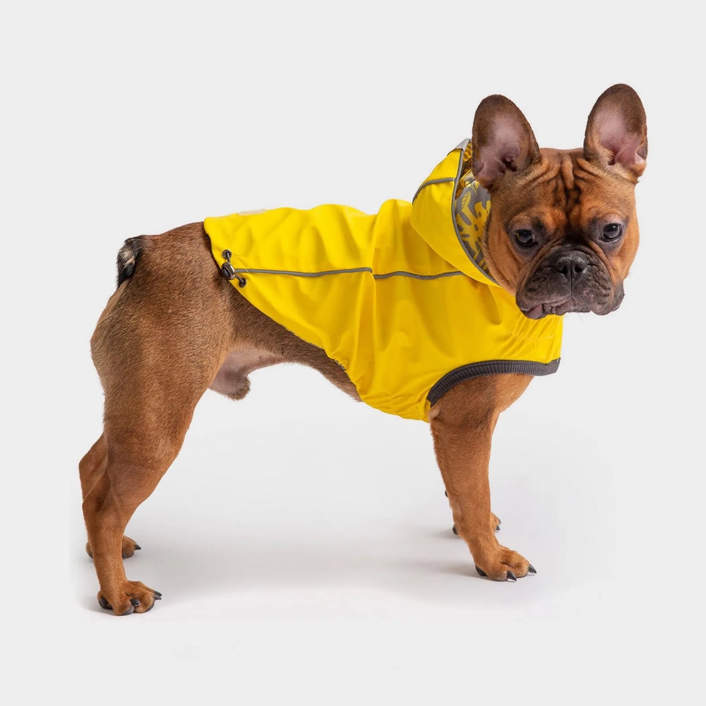 GF Pet Reversible ElastoFit Dog or Puppy Raincoat