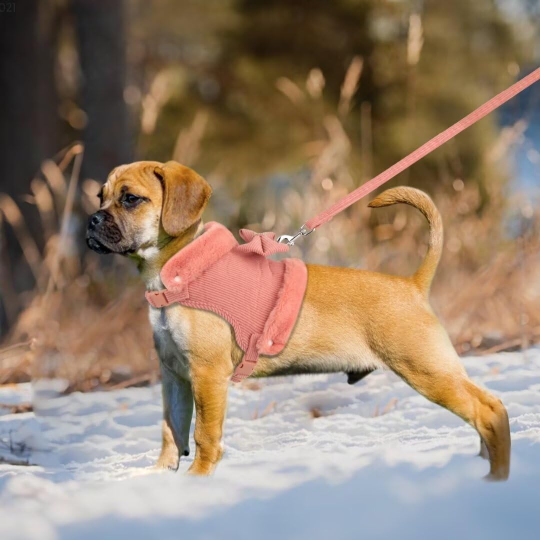 Warm Fur Collar Soft Padded Small Girl Pet Harness and Leash Set with Bow Tie