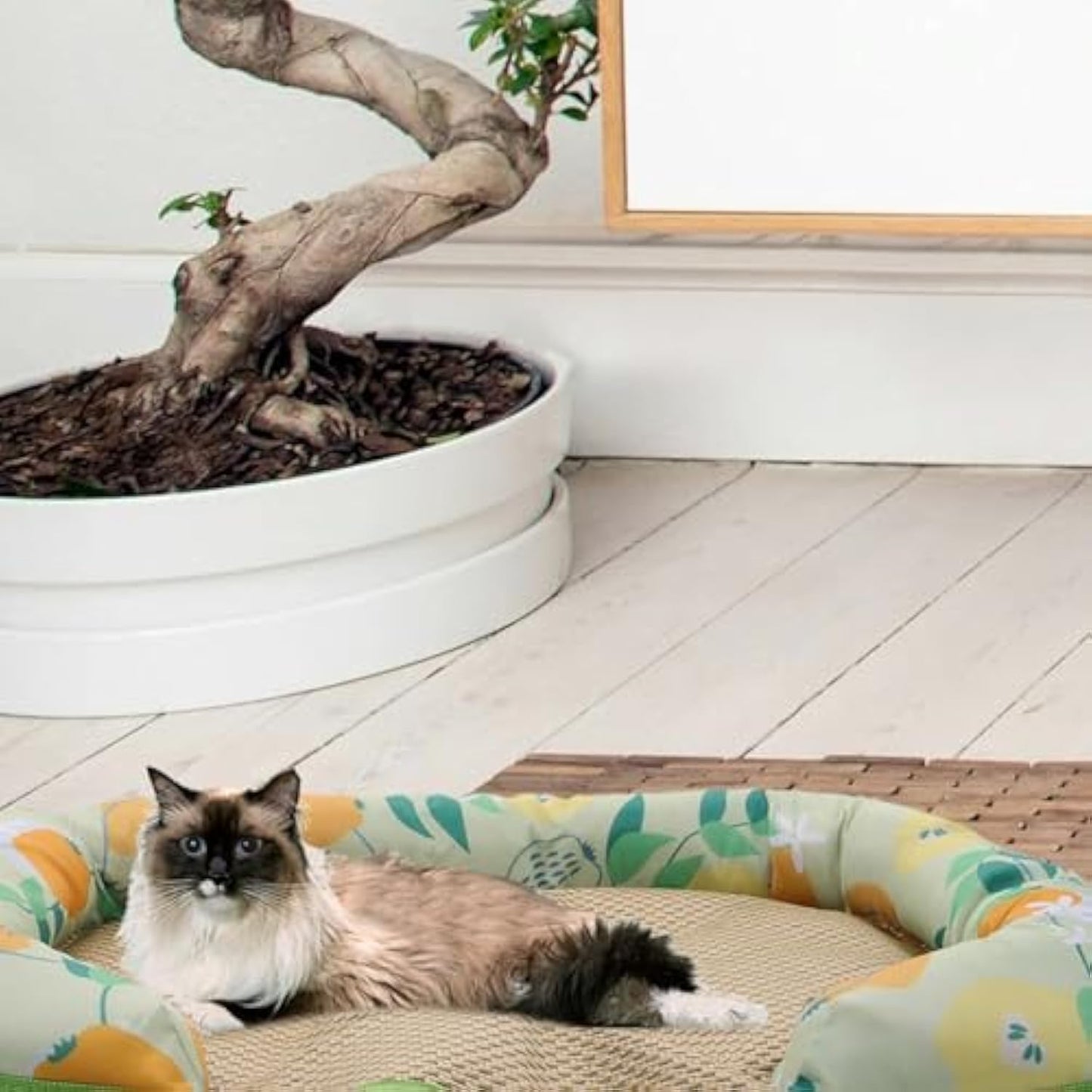 Pet Summer Sleeping Cooling Mat with Side Bolsters for Dogs And Cats
