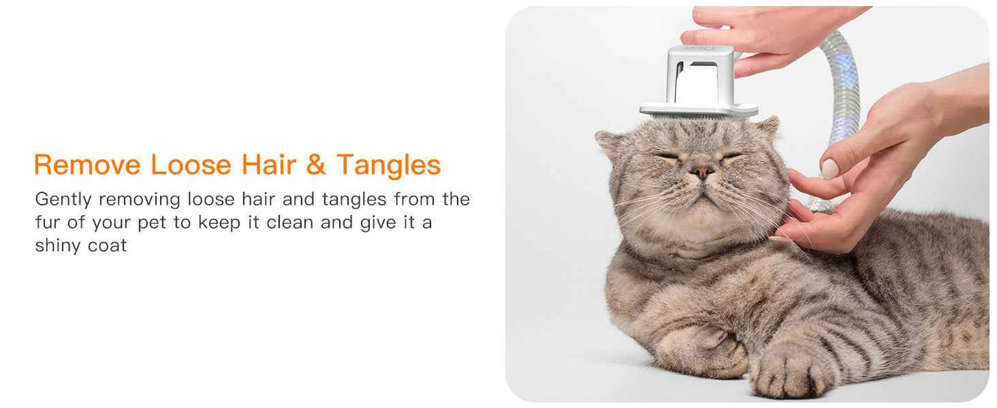 Powerful Pet Grooming Vacuum for Multi-Pet Homes - Large Capacity - Purrfect Pet Haven
