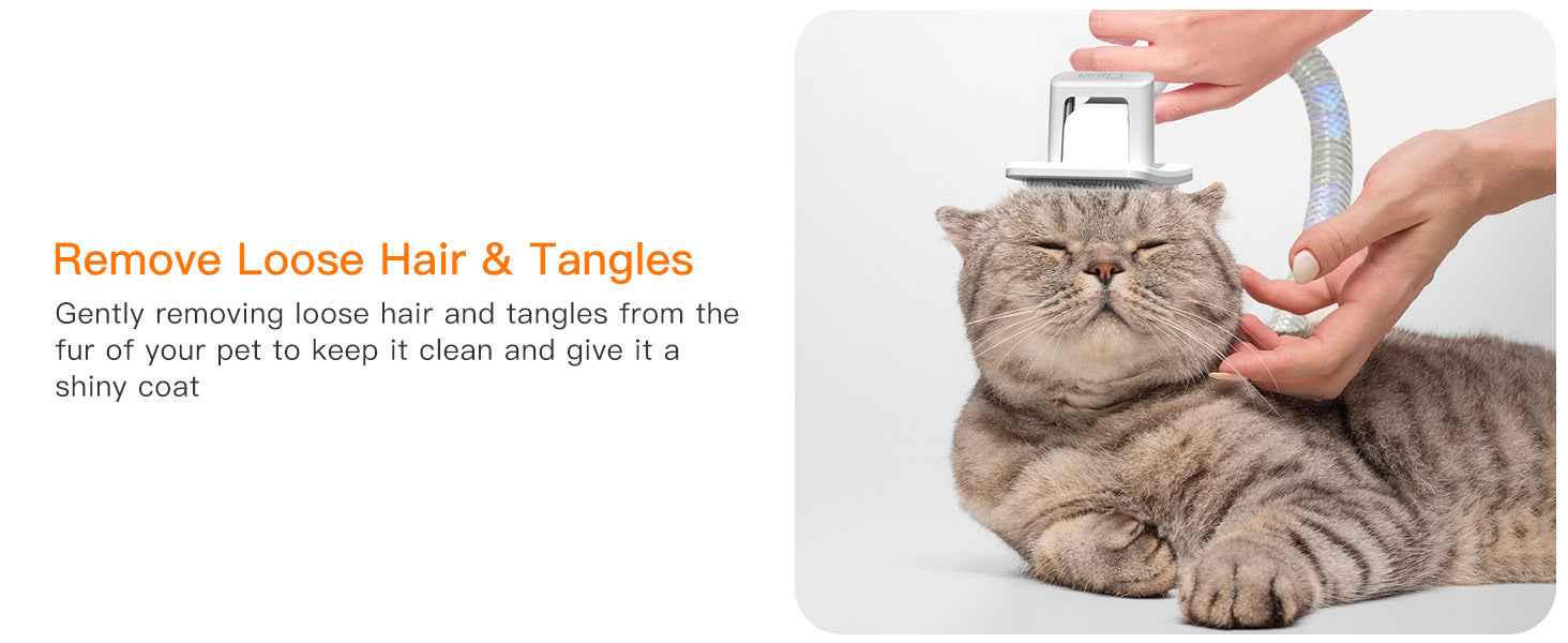 Powerful Pet Grooming Vacuum for Multi-Pet Homes - Large Capacity - Purrfect Pet Haven