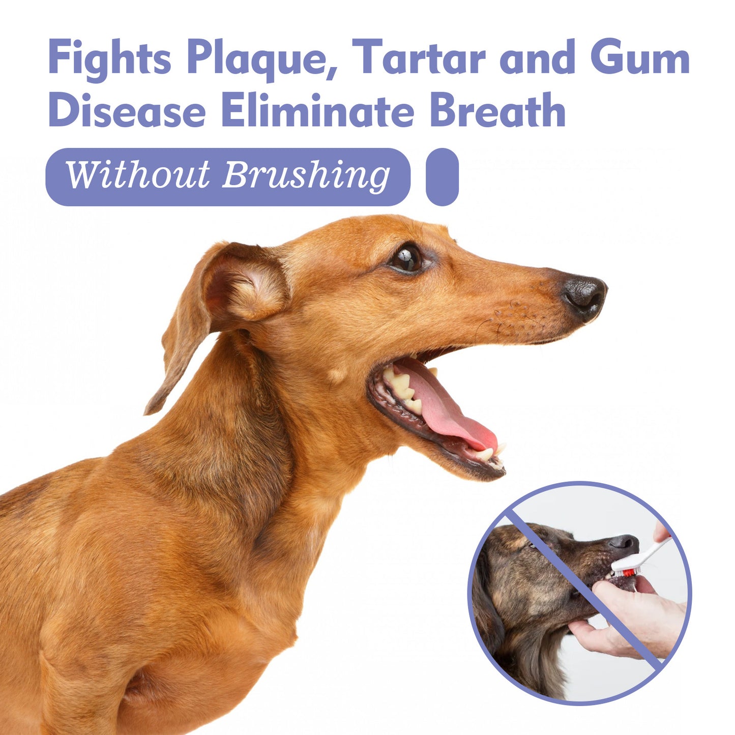 Teeth Stain Removal, Breath, Pet Oral Care Spray
