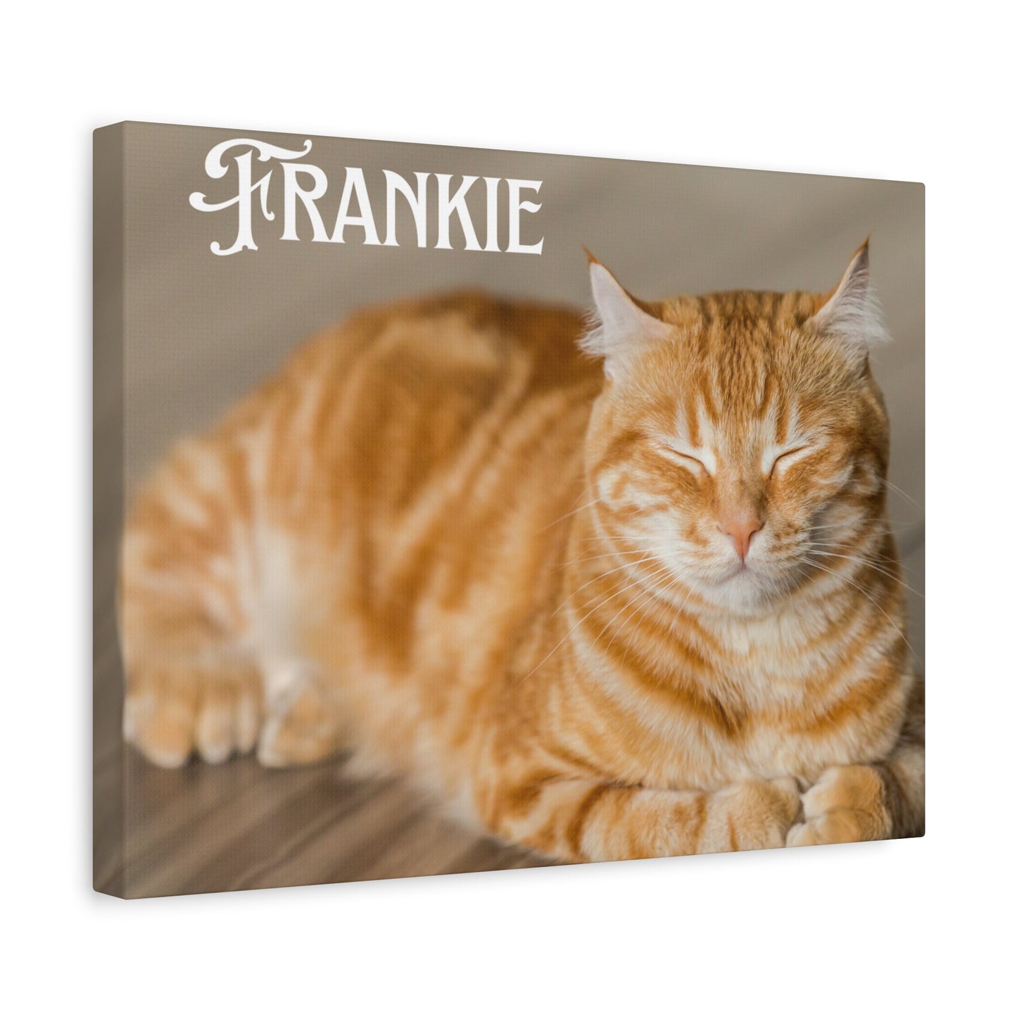 Personalized Landscape Photo Canvas Wall Art - Stretch Framed Print for Pet Lovers