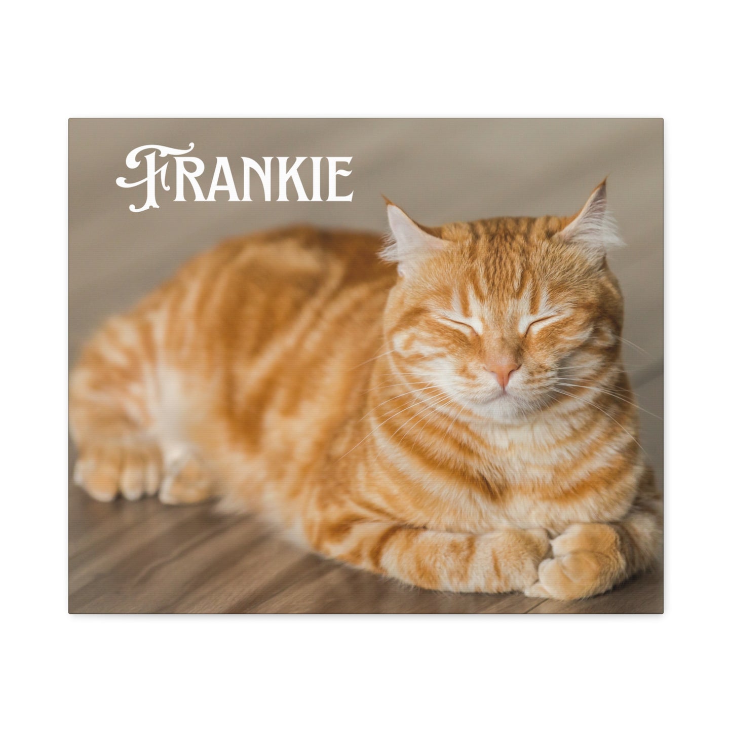 Personalized Landscape Photo Canvas Wall Art - Stretch Framed Print for Pet Lovers