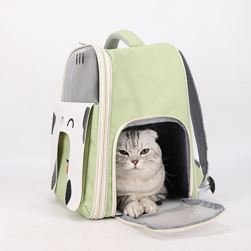 Cat in a green pet carrier with a cartoon design on a white background