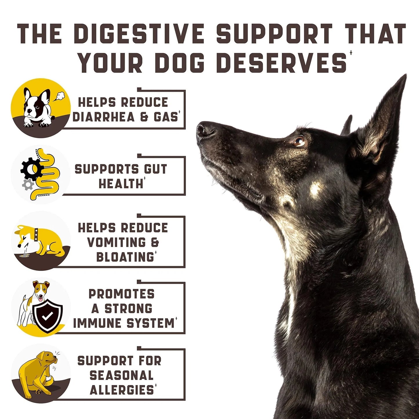 Probiotics For Dogs Support Gut Health Itchy Skin Allergies Yeast Balance Immunity Probiotics And Digestive Enzymes For Small Medium And Large Dogs 180 Probiotic Chews For Dogs Duck Flavor