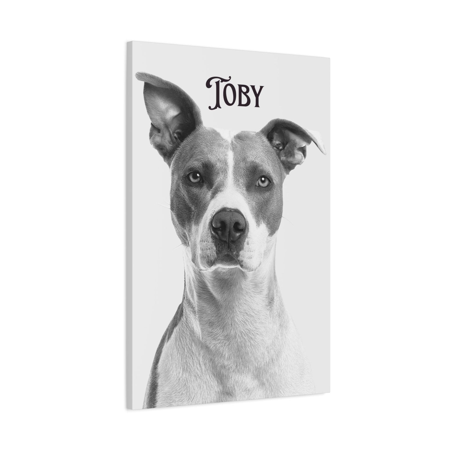 Custom Photo Canvas Print - Stretched Wall Art for Pet Lovers | Purrfect Pet Haven