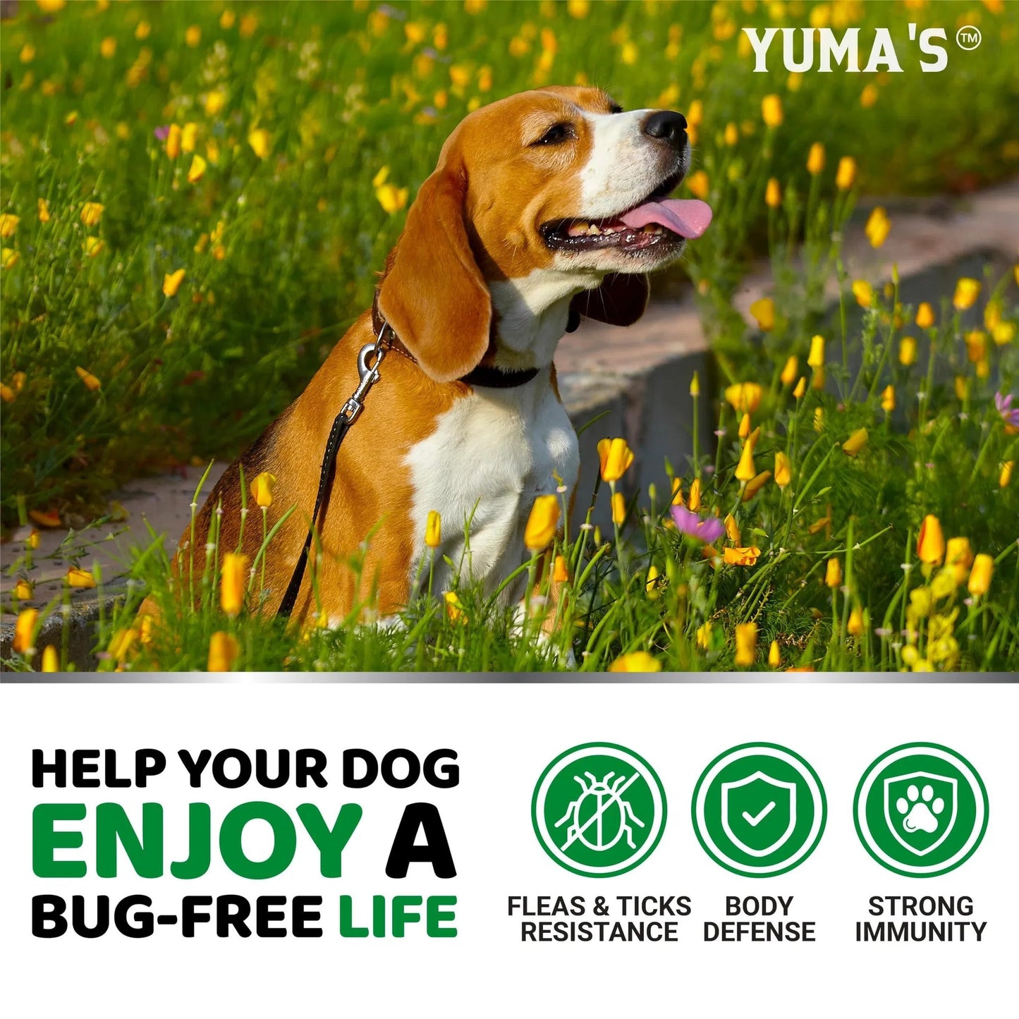 Flea And Tick Prevention For Dogs Chewables 170 Treats Natural Dog Flea And Tick Treatment All Breeds & Ages Made In USA CANNOT Be Listed For Sale On Amazon