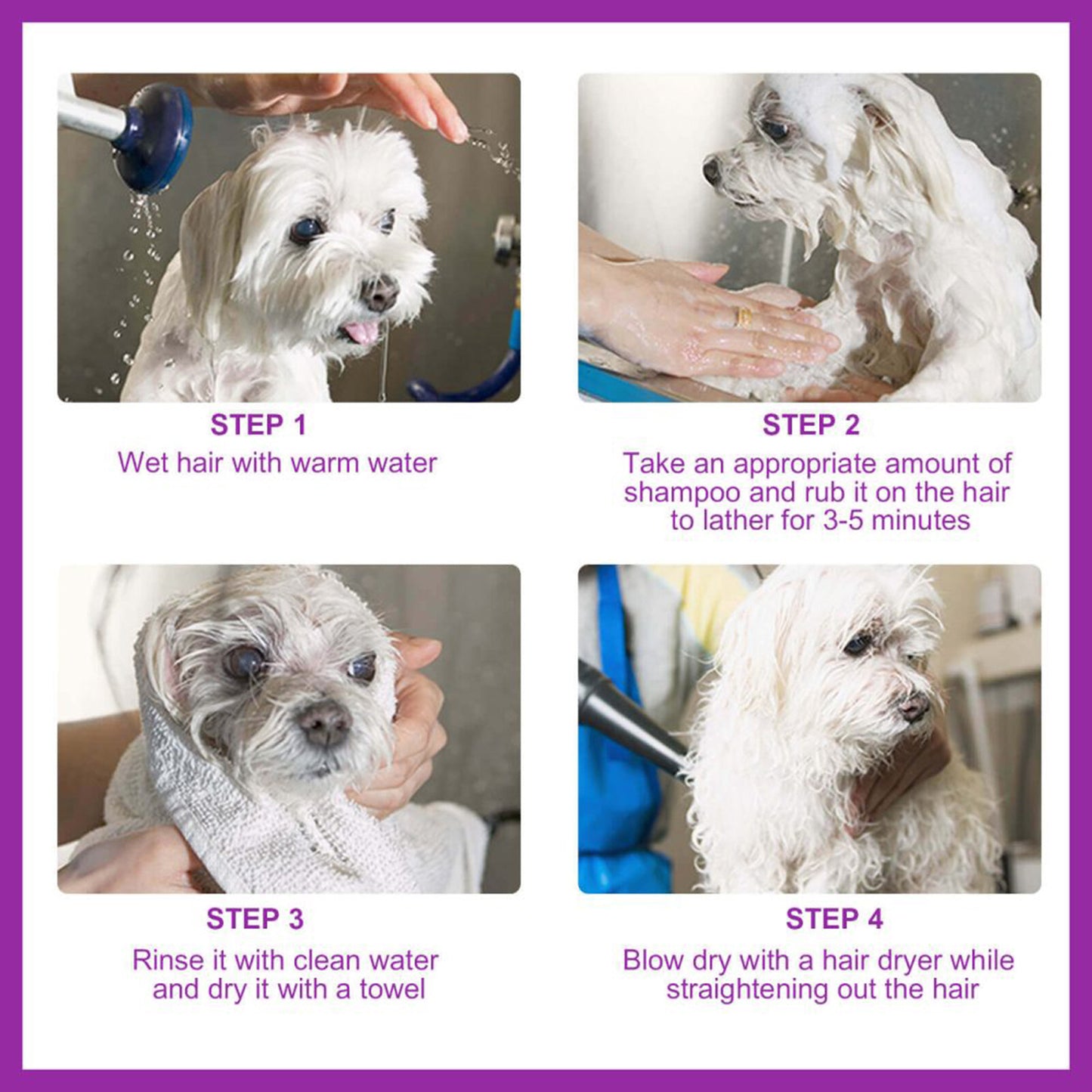 Pet Shampoo & Conditioner with Pure Lavender Essential Oils