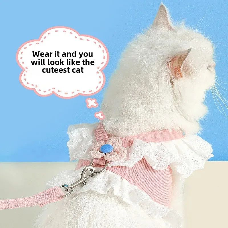 Cat wearing a decorative pink and white outfit with a thought bubble saying 'Wear it and you will look like the cutest cat'.