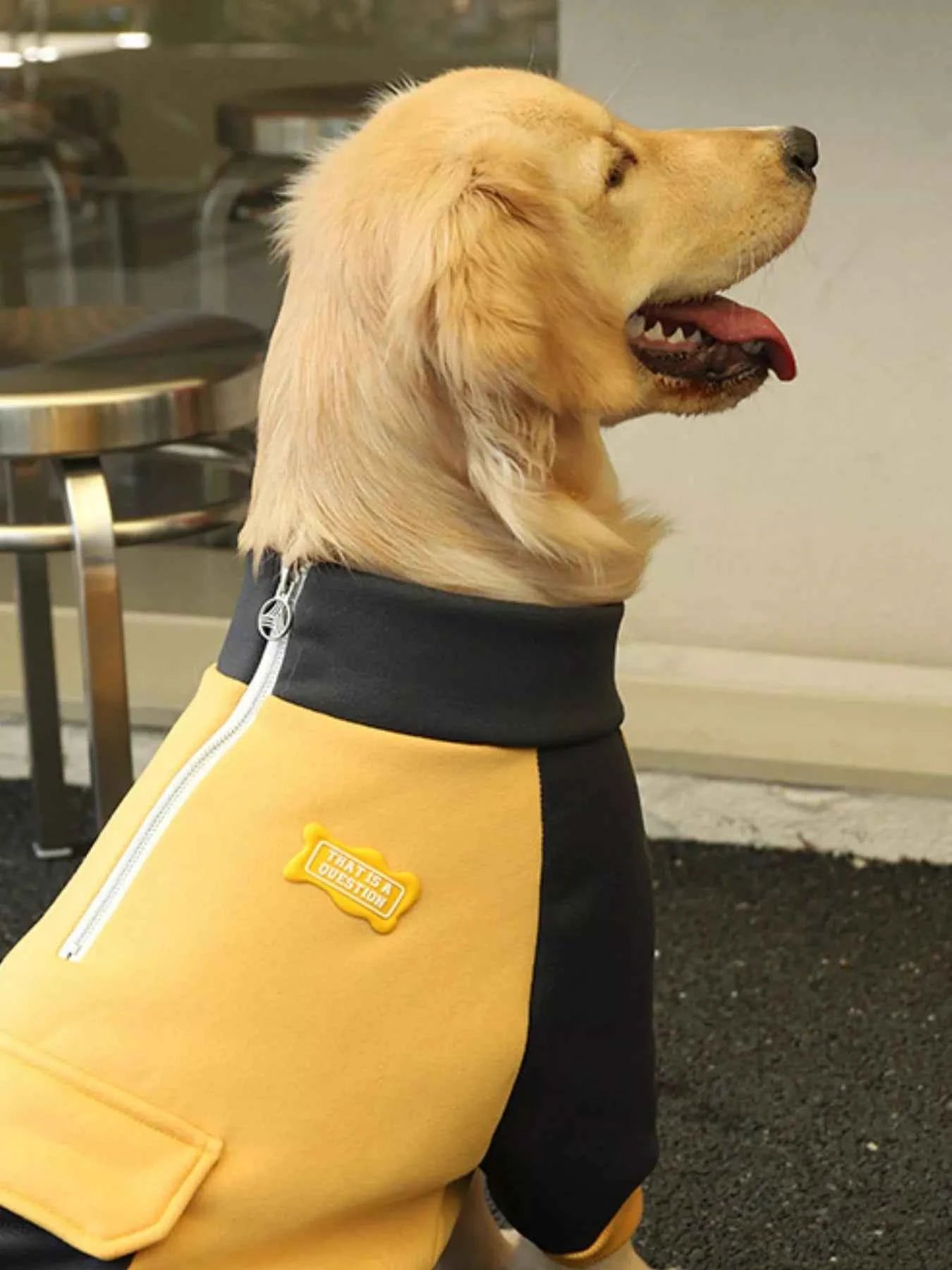 Two-Tone Dog Jacket