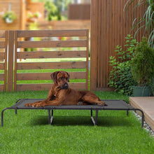 Dog lying on a elevated pet bed in a backyard setting