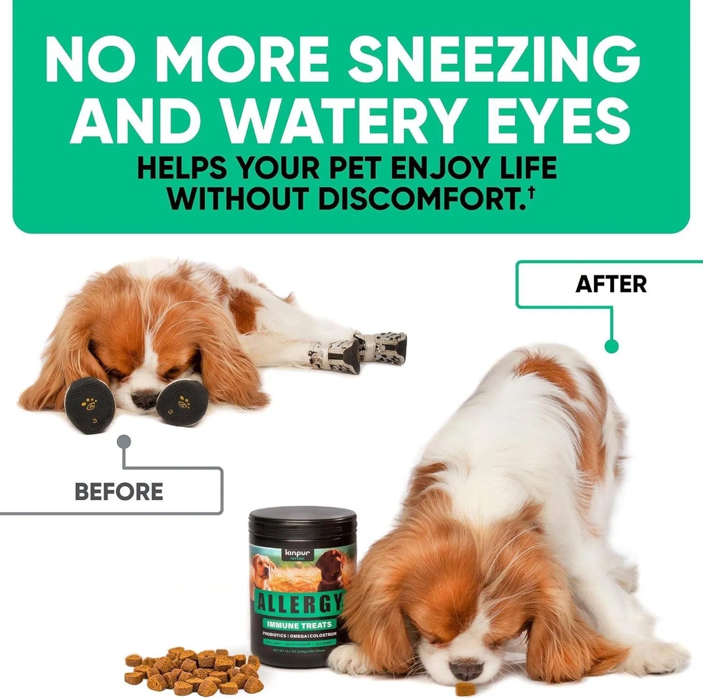 Natural Dog Allergy Chews For Dog Itch Tasty Allergy Relief Pet Supplement For Dry Itchy Skin Hot Spots Seasonal Dog Allergies 180 Anti Itch Immune Treats For Dogs Licking Paws Antihistamine