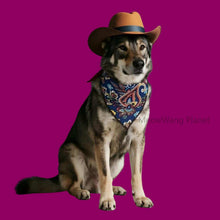 Premium Quality Cute Pet Hat Scarf Set For Cats Small Dogs - Purrfect Pet Haven