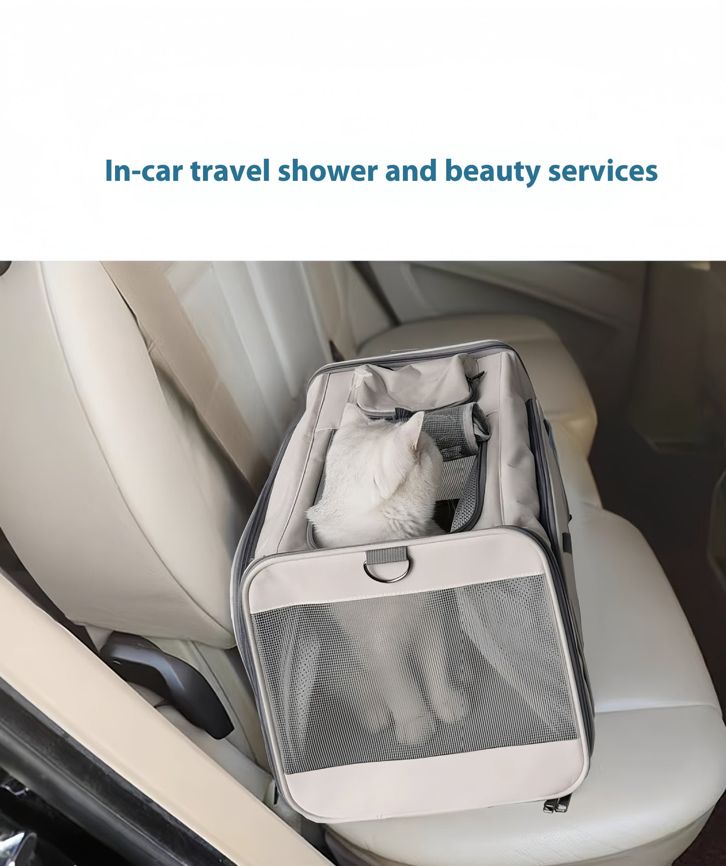 Portable Pet Carrier for Cats and Small Dogs - Breathable Travel Backpack